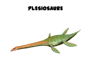 PLESIOSAURE
 
