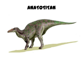 ANATOTITAN
 