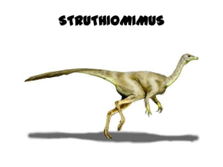 STRUTHIOMIMUS
 