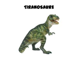 TIRANOSAURE
 