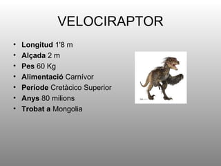 VELOCIRAPTOR
•   Longitud 1'8 m
•   Alçada 2 m
•   Pes 60 Kg
•   Alimentació Carnívor
•   Període Cretàcico Superior
•   Anys 80 milions
•   Trobat a Mongolia
 