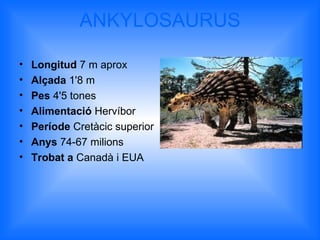 ANKYLOSAURUS

•   Longitud 7 m aprox
•   Alçada 1'8 m
•   Pes 4'5 tones
•   Alimentació Hervíbor
•   Període Cretàcic superior
•   Anys 74-67 milions
•   Trobat a Canadà i EUA
 