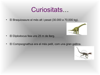 Curiositats…
• El Braquiosaure el més alt i pesat (30.000 a 70.000 kg).




• El Diplodocus feia uns 25 m de llarg.

• El Compsognathus era el més petit, com una gran gallina.
 