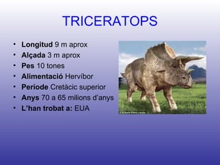 TRICERATOPS
•   Longitud 9 m aprox
•   Alçada 3 m aprox
•   Pes 10 tones
•   Alimentació Hervíbor
•   Període Cretàcic superior
•   Anys 70 a 65 milions d’anys
•   L’han trobat a: EUA
 