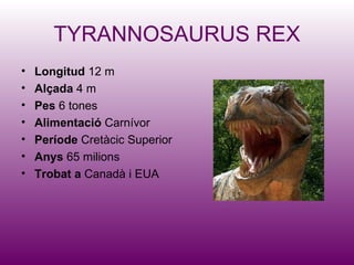 TYRANNOSAURUS REX
•   Longitud 12 m
•   Alçada 4 m
•   Pes 6 tones
•   Alimentació Carnívor
•   Període Cretàcic Superior
•   Anys 65 milions
•   Trobat a Canadà i EUA
 