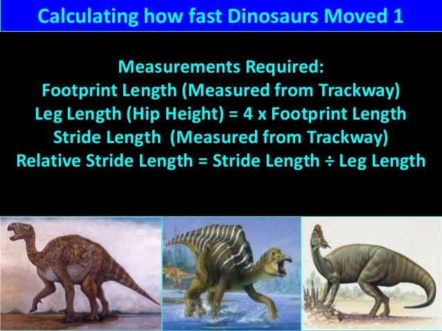 ultrasaurus fossil