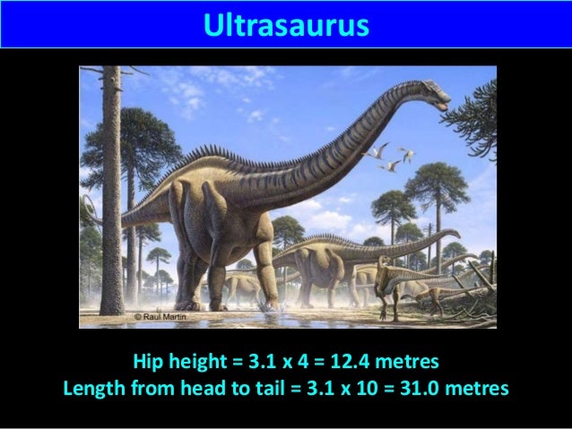 ultrasaurus fossil