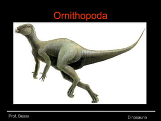 Prof. Bessa Dinosauria
Ornithopoda
 