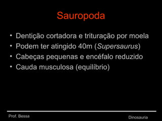 Prof. Bessa Dinosauria
Sauropoda
• Dentição cortadora e trituração por moela
• Podem ter atingido 40m (Supersaurus)
• Cabeças pequenas e encéfalo reduzido
• Cauda musculosa (equilíbrio)
 