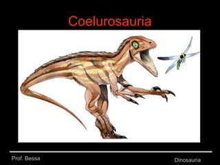 Prof. Bessa Dinosauria
Coelurosauria
 