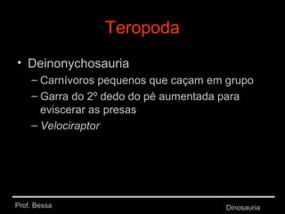 Prof. Bessa Dinosauria
Teropoda
• Deinonychosauria
– Carnívoros pequenos que caçam em grupo
– Garra do 2º dedo do pé aumentada para
eviscerar as presas
– Velociraptor
 