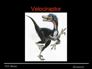Prof. Bessa Dinosauria
Velociraptor
 