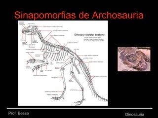 Prof. Bessa Dinosauria
Sinapomorfias de Archosauria
 
