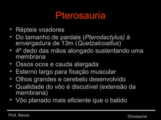 Prof. Bessa Dinosauria
Pterosauria
• Répteis voadores
• Do tamanho de pardais (Pterodactylus) à
envergadura de 13m (Quetzalcoatlus)
• 4º dedo das mãos alongado sustentando uma
membrana
• Ossos ocos e cauda alargada
• Esterno largo para fixação muscular
• Olhos grandes e cerebelo desenvolvido
• Qualidade do vôo é discutível (extensão da
membrana)
• Vôo planado mais eficiente que o batido
 
