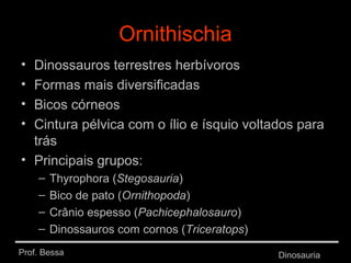 Prof. Bessa Dinosauria
Ornithischia
• Dinossauros terrestres herbívoros
• Formas mais diversificadas
• Bicos córneos
• Cintura pélvica com o ílio e ísquio voltados para
trás
• Principais grupos:
– Thyrophora (Stegosauria)
– Bico de pato (Ornithopoda)
– Crânio espesso (Pachicephalosauro)
– Dinossauros com cornos (Triceratops)
 