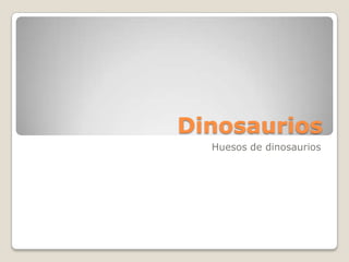 Dinosaurios Huesos de dinosaurios 