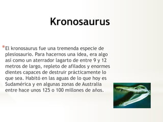 *El kronosaurus fue una tremenda especie de
plesiosaurio. Para hacernos una idea, era algo
así como un aterrador lagarto de entre 9 y 12
metros de largo, repleto de afilados y enormes
dientes capaces de destruir prácticamente lo
que sea. Habitó en las aguas de lo que hoy es
Sudamérica y en algunas zonas de Australia
entre hace unos 125 o 100 millones de años.
Kronosaurus