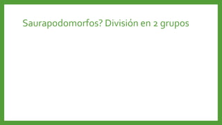 Saurapodomorfos? División en 2 grupos
 