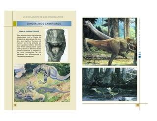 20
FAMILIA: OVIRRAPTÓRIDOS
Esta reducida familia de terópodos
desdentados vivió a finales del
Cretácico al este de Asia. Su nom-
bre, que significa “ladrones de
huevos”, se les ha atribuido por
sus supuestos hábitos alimenta-
rios. Tenían cabeza grande y pico
corto y robusto, a diferencia de los
cráneos estrechos y alargados y
los picos puntiagudos de sus
parientes, los ornitomímidos o
“dinosaurios-avestruces”.
DINOSAURIOS CARNÍVOROS
LA EVOLUCIÓN DE LOS DINOSAURIOS
19
 
