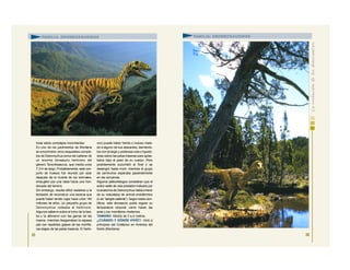 trolar estos complejos movimientos.
En uno de los yacimientos de Montana
se encontraron cinco esqueletos comple-
tos de Deinonychus cerca del cadáver de
un enorme dinosaurio herbívoro del
género Tenontosaurus, que medía unos
7,3 m de largo. Probablemente, este con-
junto de huesos fue reunido por azar
después de la muerte de los animales,
empujado por una riada hacia una hon-
donada del terreno.
Sin embargo, resulta difícil resistirse a la
tentación de reconstruir una escena que
puede haber tenido lugar hace unos 140
millones de años. Un pequeño grupo de
Deinonychus rodeaba al herbívoro.
Algunos saltaron sobre el lomo de la bes-
tia y la aferraron con las garras de las
manos, mientras desgarraban la espesa
piel con repetidos golpes de las mortífe-
ras dagas de las patas traseras. El herbí-
voro puede haber herido o incluso mata-
do a alguno de sus atacantes, barriéndo-
los con la larga y poderosa cola o irguién-
dose sobre las patas traseras para aplas-
tarlos bajo el peso de su cuerpo. Pero
posiblemente sucumbió al final y se
desangró hasta morir, mientras el grupo
de carnívoros esperaba pacientemente
en las cercanías.
Algunos paleontólogos consideran que el
activo estilo de vida predador indicado por
la anatomía de Deinonychus habla a favor
de su naturaleza de animal endotérmico
(o de “sangre caliente”). Según estos cien-
tíficos, este dinosaurio podía regular su
temperatura corporal, como hacen las
aves y los mamíferos modernos.
TAMAÑO: Medía de 3 a 4 metros.
¿CUÁNDO Y DÓNDE VIVIÓ?: Vivió a
principios del Cretácico en América del
Norte (Montana).
25
FAMILIA: DROMEOSÁURIDOS
26
FAMILIA: DROMEOSÁURIDOS
 