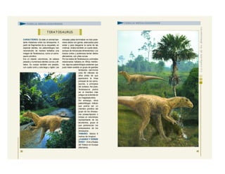 CARACTERES: Es éste un animal bas-
tante misterioso entre los dinosaurios. A
partir de fragmentos de su esqueleto, en
especial dientes, los paleontólogos han
reconstruido de manera tentativa una
imagen de Teratosaurus, como un carno-
saurio primitivo.
Era un bípedo voluminoso, de cabeza
pesada y numerosos dientes curvos y afi-
lados. Su cuerpo también era pesado,
con cuello corto y cola larga y rígida. Las
robustas patas terminaban en tres pode-
rosos dedos con garras, adecuados para
andar y para desgarrar la carne de las
víctimas. (Había también un cuarto dedo,
aunque de minúsculas dimensiones). Los
brazos cortos y poderosos tenían dedos
aferradores, con uñas curvas.
Por los restos de Teratosaurus y animales
relacionados hallados en África meridio-
nal, algunos paleontólogos sostienen que
pudo haber existido un grupo de grandes
terópodos carnívoros
unos 60 millones de
años antes de que
apareciera la línea
principal de los carno-
saurios, a principios
del Jurásico. Así pues,
Teratosaurus podría
ser el miembro más
antiguo de la familia de
los megalosáuridos.
Sin embargo, otros
paleontólogos indican
que podría ser un
miembro primitivo del
grupo de los dinosau-
rios prosaurópodos o
incluso un voluminoso
representante de los
tecodontos, grupo al
que pertenecían los
antepasados de los
dinosaurios.
TAMAÑO: Medía 6
metros de longitud.
¿CUÁNDO Y DÓNDE
VIVIÓ?: Vivió a finales
del Triásico en Europa
(Alemania).
39
T ERATOSAURUS
FAMILIA MEGALOSÁURIDOS
40
FAMILIA MEGALOSÁURIDOS
 
