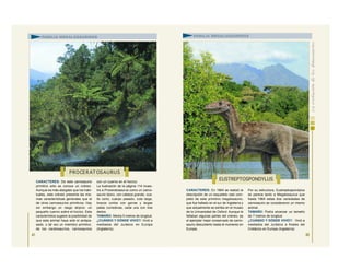 CARACTERES: De este carnosaurio
primitivo sólo se conoce un cráneo.
Aunque es más alargado que los habi-
tuales, este cráneo presenta las mis-
mas características generales que el
de otros carnosaurios primitivos. Hay
sin embargo un rasgo atípico: un
pequeño cuerno sobre el hocico. Esta
característica sugiere la posibilidad de
que este animal haya sido el antepa-
sado, o tal vez un miembro primitivo,
de los ceratosaurios, carnosaurios
con un cuerno en el hocico.
La ilustración de la página 114 mues-
tra a Proceratosaurus como un carno-
saurio típico, con cabeza grande, cue-
llo corto, cuerpo pesado, cola larga,
brazos cortos con garras y largas
patas corredoras, cada una con tres
dedos.
TAMAÑO: Medía 5 metros de longitud.
¿CUÁNDO Y DÓNDE VIVIÓ?: Vivió a
mediados del Jurásico en Europa
(Inglaterra).
41
CARACTERES: En 1964 se realizó la
descripción de un esqueleto casi com-
pleto de este primitivo megalosaurio,
que fue hallado en el sur de Inglaterra y
que actualmente se exhibe en el museo
de la Universidad de Oxford. Aunque le
faltaban algunas partes del cráneo, es
el ejemplar mejor conservado de carno-
saurio descubierto hasta el momento en
Europa.
Por su estructura, Eustreptospondylus
se parece tanto a Megalosaurus que
hasta 1964 estas dos variedades de
carnosaurio se consideraron un mismo
animal.
TAMAÑO: Podía alcanzar un tamaño
de 7 metros de longitud.
¿CUÁNDO Y DÓNDE VIVIÓ?: Vivió a
mediados del Jurásico a finales del
Cretácico en Europa (Inglaterra).
PROCERAT OSAURUS
EUSTREPTOSPONDYLUS
FAMILIA MEGALOSÁURIDOS FAMILIA MEGALOSÁURIDOS
42
 