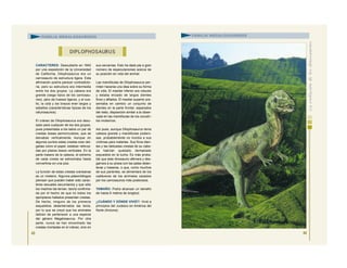CARACTERES: Descubierto en 1942
por una expedición de la Universidad
de California, Dilophosaurus era un
carnosaurio de estructura ligera. Esta
afirmación podría parecer contradicto-
ria, pero su estructura era intermedia
entre los dos grupos. La cabeza era
grande (rasgo típico de los carnosau-
rios), pero de huesos ligeros, y el cue-
llo, la cola y los brazos eran largos y
esbeltos (características típicas de los
celurosaurios).
El cráneo de Dilophosaurus era desu-
sado para cualquier de los dos grupos,
pues presentaba a los lados un par de
crestas óseas semicirculares, que se
elevaban verticalmente. Aunque en
algunos puntos estas crestas eran del-
gadas como el papel, estaban reforza-
das por pilares óseos verticales. En la
parte trasera de la cabeza, el extremo
de cada cresta se estrechaba hasta
convertirse en una púa.
La función de estas crestas craneanas
es un misterio. Algunos paleontólogos
piensan que pueden haber sido carac-
teres sexuales secundarios y que sólo
los machos las tenían, teoría confirma-
da por el hecho de que no todos los
ejemplares hallados presentan crestas.
De hecho, ninguno de los primeros
esqueletos desenterrados las tenía,
por lo que se creyó que los animales
debían de pertenecer a una especie
del género Megalosaurus. Por otra
parte, nunca se han encontrado las
crestas montadas en el cráneo, sino en
sus cercanías. Esto ha dado pie a gran
número de especulaciones acerca de
su posición en vida del animal.
Las mandíbulas de Dilophosaurus per-
miten hacerse una idea sobre su forma
de vida. El maxilar inferior era robusto
y estaba erizado de largos dientes
finos y afilados. El maxilar superior pre-
sentaba en cambio un conjunto de
dientes en la parte frontal, separados
del resto, disposición similar a la obser-
vada en las mandíbulas de los cocodri-
los modernos.
Así pues, aunque Dilophosaurus tenía
cabeza grande y mandíbulas podero-
sas, probablemente no mordía a sus
víctimas para matarlas. Sus finos dien-
tes y las delicadas crestas de su cabe-
za habrían quedado demasiado
expuestos en la lucha. Es más proba-
ble que este dinosaurio aferrara y des-
garrara a su presa con las patas delan-
teras y traseras, o que, como muchos
de sus parientes, se alimentara de los
cadáveres de los animales cazados
por los carnosaurios más poderosos.
TAMAÑO: Podía alcanzar un tamaño
de hasta 6 metros de longitud.
¿CUÁNDO Y DÓNDE VIVIÓ?: Vivió a
principios del Jurásico en América del
Norte (Arizona).
43
DIPLOPHOSAURUS
FAMILIA MEGALOSÁURIDOS
44
FAMILIA MEGALOSÁURIDOS
 
