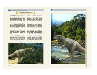 CARACTERES: Megalosaurus, nom-
bre que significa “lagarto grande”, no
es el mayor ni el más robusto de los
dinosaurios, pero es uno de los “prime -
ros” en muchos otros aspectos. El pri-
mer hueso de dinosaurio de que se
tiene noticia, descubierto en Inglaterra
en 1676, pertenecía probablemente a
Megalosaurus. Fue el primer dinosau-
rio en ser científicamente designado y
descrito, hacia 1825. y fue además uno
de los tres animales que inspiraron al
paleontólogo inglés Richard Owen,
cuando en 1841 acuñó el nombre del
grupo: “dinosaurios” o “lagartos terri -
bles”.
Con una longitud total de 9 m, 3 m de
altura y un peso calculado en 900 kg,
Megalosaurus era una criatura gigan-
tesca, con el cuerpo de un típico car-
nosaurio. El cuello corto y musculoso
sostenía una cabeza grande, con
poderosas mandíbulas erizadas de
grandes dientes curvos y de bordes
aserrados. Con estas armas,
Megalosaurus estaba bien pertrechado
para atacar y matar a los grandes dino-
saurios herbívoros de cuello largo de la
época.
Megalosaurus ha dejado claramente
su impronta en el sur de Inglaterra. En
las rocas calizas se han encontrado
rastros de huellas enormes, testimonio
de la postura bípeda de estos volumi-
nosos animales, que llevaban los
dedos ligeramente vueltos hacia aden-
tro y que tal vez balanceaban la larga
cola de un lado a otro, a cada paso,
para equilibrar el peso del cuerpo.
TAMAÑO: Medía 9 metros de longitud.
¿CUÁNDO Y DÓNDE VIVIÓ?: Vivió de
principios a finales del Jurásico en
Europa (Inglaterra y Francia) y África
(Marruecos).
45
MEGAL OSAURUS
FAMILIA MEGALOSÁURIDOS
46
FAMILIA MEGALOSÁURIDOS
 