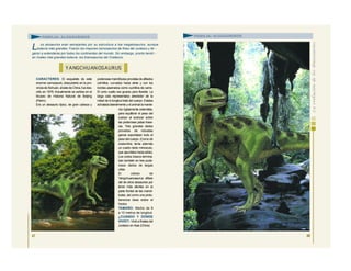 CARACTERES: El esqueleto de este
enorme carnosaurio, descubierto en la pro-
vincia deSichuán,aleste deChina,fuedes-
crito en 1978. Actualmente se exhibe en el
Museo de Historia Natural de Beijing
(Pekín).
Era un alosaurio típico, de gran cabeza y
poderosas mandíbulas provistas deafilados
colmillos, curvados hacia atrás y con los
bordes aserrados como cuchillos de carne.
El corto cuello era grueso pero flexible. La
larga cola representaba alrededor de la
mitad de lo longitud total del cuerpo. Estaba
achatada lateralmente y el animal la mante-
nía rígidamente extendida,
para equilibrar el peso del
cuerpo al avanzar sobre
las poderosas patas trase-
ras. Tres grandes dedos
provistos de robustas
garras soportaban todo el
peso delcuerpo. (Como de
costumbre, tenía además
un cuarto dedo minúsculo,
que apuntaba hacia atrás).
Los cortos brazos termina-
ban también en tres pode-
rosos dedos de largas
uñas.
El cráneo de
Yangchuanosaurus difiere
del de otros alosaurios por
tener más dientes en la
parte frontal de las mandí-
bulas, así como una protu-
berancia ósea sobre el
hocico.
TAMAÑO: Medía de 8
a 10 metros de longitud.
¿CUÁNDO Y DÓNDE
VIVIÓ?: Vivió a finales del
Jurásico en Asia (China)
47
YANGCHUAN OSAURUS
FAMILIA: ALOSÁURIDOS
L os alosaurios eran semejantes por su estructura a loa megalosaurios, aunque
todavía más grandes. Fueron los mayores carnosaurios de fines del Jurásico y lle -
garon a extenderse por todos los continentes del mundo. Sin embargo, pronto tendrí -
an rivales más grandes todavía: los tiranosaurios del Cretácico.
48
FAMILIA: ALOSÁURIDOS
 