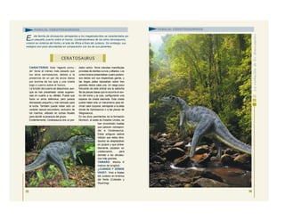 CARACTERES: Este “lagarto cornu -
do” tenía el cráneo más pesado que
los otros carnosaurios, debido a la
presencia de un par de arcos óseos
por encima de los ojos y una cresta
baja o cuerno sobre el hocico.
La función del cuerno se desconoce, aun-
que se han presentado varias sugeren-
cias en cuanto a su utilidad. Puede que
fuera un arma defensiva, pero parece
demasiado pequeño y mal colocado para
la lucha. También puede haber sido un
carácter sexual secundario, exclusivo de
los machos, utilizado en luchas rituales
para decidir la jerarquía del grupo.
Evidentemente, Ceratosaurus era un pre-
dador activo. Tenía robustas mandíbulas
provistas de dientes curvos y afilados. Los
cortos brazos presentaban cuatro podero-
sos dedos con sus respectivas garras, y
las largas patas reposaban sobre tres
grandes dedos cada una. Un rasgo poco
frecuente de este animal era la estrecha
fila de placas óseas que le recorría el cen-
tro del dorso y la cola, configurando una
especie de cresta aserrada. Esta cresta
puede haber sido un mecanismo para eli-
minar calor corporal, semejante a la aleta
dorsal de Spinosaurus o a las placas de
Stegosaurus.
En los ricos yacimientos de la formación
Morrison, al oeste de Estados Unidos, se
han encontrado huellas
que parecen correspon-
der a Ceratosaurus.
Estos antiguos rastros
indican que estos dino-
saurios se desplazaban
en grupos y que proba-
blemente cazaban en
colaboración, para
derrotar a los dinosau-
rios más grandes.
TAMAÑO: Medía 6
metros de longitud.
¿CUÁNDO Y DÓNDE
VIVIÓ?: Vivió a finales
del Jurásico en América
del Norte (Colorado y
Wyoming).
55
CERATOSAURUS
FAMILIA: CERATOSÁURIDOS
E sta familia de dinosaurios semejantes a los megalosáuridos se caracterizaba por
un pequeño cuerno sobre el hocico. Contemporáneos de los otros carnosaurios,
vivieron en América del Norte y el este de África a fines del Jurásico. Sin embargo, sus
vestigios son poco abundantes en comparación con los de sus parientes.
56
FAMILIA: CERATOSÁURIDOS
 