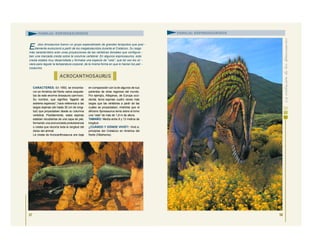 CARACTERES: En 1950, se encontra-
ron en América del Norte varios esquele-
tos de este enorme dinosaurio carnívoro.
Su nombre, que significa “lagarto de
extremo espinoso”, hace referencia a las
largas espinas (de hasta 30 cm de longi-
tud) que proyectaban desde su columna
vertebral. Posiblemente, estas espinas
estaban recubiertas de una capa de piel,
formando una pronunciada protuberancia
o cresta que recorría toda la longitud del
dorso del animal.
La cresta de Acrocanthosaurus era baja
en comparación con la de algunos de sus
parientes de otras regiones del mundo.
Por ejemplo, Altispinax, de Europa occi-
dental, tenía espinas cuatro veces más
largas que las vértebras a partir de las
cuales se proyectaban, mientras que el
africano Spinosaurus tenía sobre el lomo
una “vela” de más de 1,8 m de altura.
TAMAÑO: Medía entre 8 y 13 metros de
longitud.
¿CUÁNDO Y DÓNDE VIVIÓ?: Vivió a:
principios del Cretácico en América del
Norte (Oklahoma).
57
ACROCANTHOSAURU S
FAMILIA: ESPINOSÁURIDOS
E stos dinosaurios fueron un grupo especializado de grandes terópodos que posi -
blemente evolucionó a partir de los megalosáuridos durante el Cretácico. Su rasgo
más característico eran unas proyecciones de las vértebras dorsales que configura -
ban una marcada cresta sobre la columna vertebral. En algunos espinosaurios, esta
cresta estaba muy desarrollada y formaba una especie de “vela”, que tal vez les sir -
viera para regular la temperatura corporal, de la misma forma en que lo hacían los peli -
cosaurios.
58
FAMILIA: ESPINOSÁURIDOS
 
