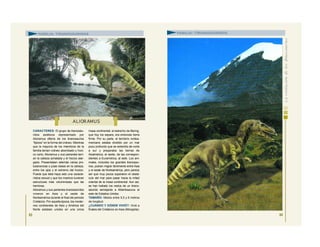 CARACTERES: El grupo de tiranosáu-
ridos asiáticos representado por
Alioramus difería de los tiranosaurios
“típicos” en la forma del cráneo. Mientras
que la mayoría de los miembros de la
familia tenían cráneo abombado y hoci-
co corto, Alioramus y sus parientes tení-
an la cabeza achatada y el hocico alar-
gado. Presentaban además varias pro-
tuberancias o púas óseas en la cabeza,
entre los ojos y el extremo del hocico.
Puede que ésta haya sido una caracte-
rística sexual y que los machos tuvieran
estructuras más voluminosas que las
hembras.
Alioramus y sus parientes tiranosáuridos
vivieron en Asia y el oeste de
Norteamérica durante el final del periodo
Cretácico. Por aquella época, los moder-
nos continentes de Asia y América del
Norte estaban unidos en una única
masa continental; el estrecho de Bering,
que hoy los separa, era entonces tierra
firme. Por su parte, el territorio nortea-
mericano estaba dividido por un mar
poco profundo que se extendía de norte
a sur y preparaba las tierras de
Asiamérica, al oeste, de las correspon-
dientes a Euramérica, al este. Los ani-
males, incluidos los grandes tiranosau-
rios, podían migrar libremente entre Asia
y el oeste de Norteamérica, pero parece
ser que muy pocos superaron el obstá-
culo del mar para pasar hacia la mitad
oriental de la masa continental. Aun así,
se han hallado los restos de un tirano-
sáurido semejante a Albertosaurus al
este de Estados Unidos.
TAMAÑO: Medía entre 5,5 y 6 metros
de longitud.
¿CUÁNDO Y DÓNDE VIVIÓ?: Vivió a
finales del Cretácico en Asia (Mongolia).
63
FAMILIA: TIRANOSÁURIDOS
64
FAMILIA: TIRANOSÁURIDOS
ALIOR AMUS
 