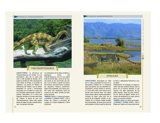 CARACTERES: La estructura de
Thecodontosaurus era similar a la de
Anchisaurus, pero con el cuello más
corto y más cantidad de dientes. Se le
asignó el nombre en 1843, tras descubrir
unos restos en Bristol, al suroeste de
Inglaterra. Los huesos se hallaron en
sedimentos del Triásico, que se habían
depositado en cuevas y hondonadas
producidas por la erosión en rocas cali-
zas formadas anteriormente, durante el
periodo Carbonífero. En el clima casi
desértico reinante en Europa hacia fines
del Triásico, la época en que vivió
Thecodontosaurus, estas rocas calizas
deben de haber formado mesetas eleva-
das y de paredes abruptas.
La combinación de los datos climáticos y
geológicos indica que
Thecodontosaurus vivía en una región
árida de tierras altas, cerca de las cue-
vas donde se han encontrado sus res-
tos, o en su interior. Cuando los anima-
les murieron, sus restos fueron cubiertos
por depósitos Triásicos posteriores.
Según otra posibilidad, sus huesos pue-
den haber sido arrastrados hacia las
cuevas por las riadas, durante las esta-
ciones lluviosas.
TAMAÑO: Medía 2,1 metros de longitud.
¿CUÁNDO Y DÓNDE VIVIÓ?: Vivió a
finales del Triásico a principios del
Jurásico en Europa (Inglaterra) y África
meridional.
77
CARACTERES: Descubierto en 1909
por E. Fraas y bautizado en honor de su
descubridor, Efraasia era un dinosaurio
algo más grande que sus parientes pro-
saurópodos, aunque similar en estructu-
ra. Como ellos, tenía unas manos que le
servían para diversos fines. Sus largos
dedos podían aferrar plantas pequeñas o
manojos de hojas, sobre todo con la
ayuda de los “pulgares” móviles. La arti-
culación de la muñeca estaba también
bien desarrollada, de forma que el animal
podía aplastar contra el suelo la palma de
la mano y desplazarse fácilmente a cua-
tro patas.
Efraasia tenía, sin embargo, un rasgo pri-
mitivo: sólo dos vértebras sacras unían la
pelvis con la columna vertebral, lo cual
suponía una débil disposición de las
patas traseras. Todos los otros dinosau-
rios de “pelvis de lagarto” tenían por lo
menos tres vértebras en la unión entre la
pelvis y la columna vertebral.
TAMAÑO: Medía 2,4 metros de longitud.
¿CUÁNDO Y DÓNDE VIVIÓ?: Vivió a
finales del Triásico en Europa (Alemania).
THECODONTOSAURUS
EFRAASIA
FAMILIA: ANQUISÁURIDOS FAMILIA: ANQUISÁURIDOS
78
 