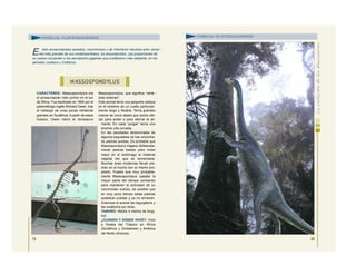 CARACTERES: Massospondylus era
el prosaurópodo más común en el sur
de África. Fue bautizado en 1854 por el
paleontólogo inglés Richard Owen, tras
el hallazgo de unas pocas vértebras
grandes en Sudáfrica. A partir de estos
huesos, Owen llamó al dinosaurio
Massospondylus, que significa “vérte -
bras masivas”.
Este animal tenía una pequeña cabeza
en el extremo de un cuello particular-
mente largo y flexible. Tenía grandes
manos de cinco dedos que podía utili-
zar para andar o para aferrar el ali-
mento. En cada “pulgar” tenía una
enorme uña curvada.
En las cavidades abdominales de
algunos esqueletos se han encontra-
do piedras pulidas. Es probable que
Massospondylus tragara deliberada-
mente piedras bastas para moler
mejor en el estómago el material
vegetal del que se alimentaba.
Muchas aves modernas llevan pie-
dras en el buche con el mismo pro-
pósito. Puesto que muy probable-
mente Massospondylus pasaba la
mayor parte del tiempo comiendo
para mantener la actividad de su
voluminoso cuerpo, es posible que
en muy poco tiempo estas piedras
quedaran pulidas y ya no sirvieran.
Entonces el animal las regurgitaría y
las sustituiría por otras.
TAMAÑO: Medía 4 metros de longi-
tud.
¿CUÁNDO Y DÓNDE VIVIÓ?: Vivió
a finales del Triásico en África
(Sudáfrica y Zimbabwe) y América
del Norte (Arizona).
79
M ASSOSPONDYLUS
FAMILIA: PLATEOSÁURIDOS
E stos prosaurópodos pesados, voluminosos y de miembros robustos eran versio -
nes más grandes de sus contemporáneos, los anquisáuridos. Las proporciones de
su cuerpo recuerdan a los saurópodos gigantes que proliferaron más adelante, en los
periodos Jurásico y Cretácico.
80
FAMILIA: PLATEOSÁURIDOS
 