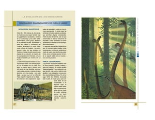 88
INFRAORDEN: SAURÓPODOS
Entre 65 y 200 millones de años atrás,
los herbívoros de mayor tamaño eran
los gigantescos saurópodos, dotados
de un cuello largo y de cuatro patas.
Sobrevivieron, como grupo, alrededor
de 50 millones de años. Aparecieron a
fines del Triásico o comienzos del
Jurásico, alcanzaron su punto culmi-
nante a fines del Jurásico, y se extin-
guieron antes de que acabara el
Cretácico. Incluso durante las primeras
etapas de su evolución, la mayoría de
los saurópodos eran inmensos, con una
longitud bastante por encima de los
15,2 m.
La estructura corporal de todos los sau-
rópodos era similar: una cabeza peque-
ña, en el extremo de un cuello muy
largo; un cuerpo largo y grueso, para
dar cabida a unas entrañas enormes;
cuatro patas gruesas y macizas, de pies
abiertos, con cinco dedos; y una cola
larga y gruesa que se iba afinando
hasta adquirir el aspecto de un látigo.
Se observan dos adaptaciones espe-
ciales del esqueleto, incluso en los pri-
meros saurópodos. En primer lugar, las
vértebras formaban grandes cavidades,
que permitían aligerar considerable-
mente el peso del animal, a la vez que
conservaban la fuerza estructural del
esqueleto. Estas cavidades se fueron
agrandando a medida que los saurópo-
dos evolucionaron.
La segunda característica especial era
que la inmensa cadera estaba unida
fuertemente a la columna vertebral por
medio de cuatro (y en las formas poste-
riores, cinco) vértebras sacras, forman-
do un soporte sólido para un cuerpo y
una cola tan pesados.
FAMILIA: CETIOSÁURIDOS
Los primeros saurópodos habitaron toda
la Tierra durante el periodo Jurásico y
parte del Cretácico. Su nombre significa
“ballenas lagartos” y hace referencia a su
gran tamaño, más que a un estilo de vida
acuático. Los cetiosaurios conservaron
dos características primitivas. En primer
lugar, tenían las vértebras ahuecadas
sólo en parte, de modo que su peso cor-
poral debió de ser
considerable. Y, en
segundo lugar, la
cadera estaba adhe-
rida a la columna ver-
tebral sólo por medio
de cuatro vértebras
sacras, es decir
menos que los sau-
rópodos posterio-
res.
DINOSAURIOS RAMONEADORES DE CUELLO LARGO
LA EVOLUCIÓN DE LOS DINOSAURIOS
87
 