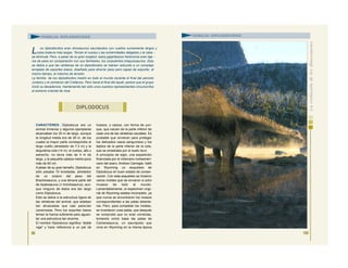 CARACTERES: Diplodocus era un
animal inmenso y algunos ejemplares
alcanzaban los 30 m de largo, aunque
la longitud media era de 26 m, de los
cuales la mayor parte correspondía al
largo cuello (alrededor de 7,3 m) y la
larguísima cola (14 m). el cuerpo, alto y
estrecho, no tenía más de 4 m de
largo, y la pequeña cabeza medía poco
más de 60 cm.
A pesar de su gran tamaño, Diplodocus
sólo pesaba 10 toneladas, alrededor
de un octavo del peso del
Brachiosaurus, y una tercera parte del
de Apatosaurus (= brontosaurus), aun-
que ninguno de éstos era tan largo
como Diplodocus.
Esto se debía a la estructura ligera de
las vértebras del animal, que estaban
tan ahuecadas que casi parecían
cavernosas. Pero los soportes óseos
tenían la fuerza suficiente para aguan-
tar una estructura tan enorme.
El nombre Diplodocus significa “doble
viga” y hace referencia a un par de
huesos, o calzos, con forma de yun-
que, que nacían de la parte inferior de
cada una de las vértebras caudales. Es
probable que sirvieran para proteger
los delicados vasos sanguíneos y los
tejidos de la parte inferior de la cola,
que se arrastraba por el suelo duro.
A principios de siglo, una expedición
financiada por el millonario norteameri-
cano del acero, Andrew Carnegie, halló
en Wyoming un esqueleto de
Diplodocus en buen estado de conser-
vación. Con este esqueleto se hicieron
varios moldes que se enviaron a ocho
museos de todo el mundo.
Lamentablemente, el espécimen origi-
nal de Wyoming estaba incompleto, ya
que nunca se encontraron los huesos
correspondientes a las patas delante-
ras. Pero, para completar los moldes,
se inventaron unas patas, que después
se comprobó que no eran correctas,
tomando como base las patas de
Camarasaurus, un saurópodo que
vivía en Wyoming en la misma época
99
DIPLODOCUS
FAMILIA: DIPLODÓCIDOS
L os diplodócidos eran dinosaurios saurópodos con cuellos sumamente largos y
colas todavía más largas. Tenían el cuerpo y las extremidades delgados y la cabe -
za diminuta. Pero, a pesar de su gran longitud, estos gigantescos herbívoros eran lige -
ros de peso en comparación con sus familiares, los corpulentos braquiosaurios. Esto
se debía a que las vértebras de os diplodócidos se habían reducido a un complejo
enrejado de soportes óseos, diseñado para ahorrar peso pero capaz de soportar, al
mismo tiempo, el máximo de tensión.
La familia de los diplodócidos medró en todo el mundo durante el final del periodo
Jurásico y el comienzo del Cretácico. Pero hacia el final del aquél, parece que el grupo
inició su decadencia, manteniendo tan sólo unos cuantos representantes circunscritos
al extremo oriental de Asia.
100
FAMILIA: DIPLODÓCIDOS
 