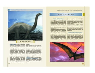 CARACTERES: Es uno de los últimos
saurópodos que vivió antes de la extin-
ción masiva de los dinosaurios, que
tuvo lugar al final del periodo
Cretácico, hace 65 millones de años.
Durante el final del Cretácico se habían
producido cambios climáticos en
muchas regiones del mundo. Buena
parte de las tierras bajas de América
del Norte se habían convertido en una
jungla húmeda y pantanosa, donde rei-
naban los dinosaurios ornitópodos,
unos corredores bípedos con patas
similares a las de las aves. Pero toda-
vía quedaban algunos lugares eleva-
dos y secos donde podían vivir los sau-
rópodos.
Antes de poner punto final a este apar-
tado sobre los grandes dinosaurios
saurisquios, no podemos dejar de
mencionar a Alamosaurus. Se trata de
uno de los últimos dinosauios supervi-
vientes y, quizá por mera coincidencia,
lleva el nombre de Alamo, el famoso
fuerte de san Antonio donde los teja-
nos se opusieron por última vez a los
mejicanos en 1836.
TAMAÑO: Medía 21 metros de longitud.
¿CUÁNDO Y DÓNDE VIVIÓ?: Vivió a
finales del Cretácico en América del
Norte (Montana, Nuevo México, Texas
y Utah).
111
ALAMOSAURU S
FAMILIA: TITANOSÁURIDOS
ORDEN: PTEROSAURIOS
El primer grupo de vertebrados que adop-
taron el vuelo como forma de vida fueron
los pterosaurios. Estos reptiles volares
surcaban el cielo con alas hechas de piel,
sostenidas por el cuarto dedo de las
patas delanteras, extremadamente alar-
gado, y fijadas al cuerpo por detrás, a la
altura del fémur.
Estos reptiles voladores evolucionaron a
finales del Triásico, unos 70 millones de
años antes de que apareciera
Archaeopteryx, la primera ave conocida.
Prosperaron durante todo el Jurásico y la
primera parte del Cretácico, diversificán-
dose en numerosas formas, hasta llegar a
ser los animales voladores más grandes
de todos los tiempos. Luego el grupo
comenzó a declinar y sus últimos miem-
bros se extinguieron al final de la Era
Mesozoica. Se han encontraron restos de
pterosaurios en todo el mundo, a excep-
ción de la Antártida, sobre todo en yaci-
mientos marinos.
Los pterosaurios se clasifican en dos
subórdenes. Los primeros tipos, los más
primitivos, son los ramforrincos, mientras
que entre los tipos más recientes figuran
los reptiles voladores más conocidos: los
pterodáctilos.
SUBORDEN: RAMFORRINCOIDEOS
Los pterosaurios más antiguos que se
conocen eran ya buenos voladores a
fines del periodo Triásico, hace unos 190
millones de años. Prosperaron en todo el
mundo hasta el final del Jurásico,
momento en que se extinguieron.
REPTILES VOLADORES
LA EVOLUCIÓN DE LOS DINOSAURIOS
112
 