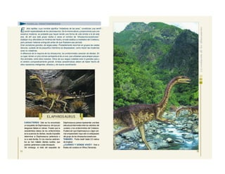 CARACTERES: Sólo se ha encontrado
un esqueleto de Elaphrosaurus, del que por
desgracia faltaba el cráneo. Puesto que la
característica básica de los ornitomímidos
es la ausencia de dientes, resulta imposible
determinar si Elaphrosaurus pertenecía o
no a esta familia. En los mismos sedimen-
tos se han hallado dientes sueltos, que
podrían pertenecer a este dinosaurio.
Sin embargo, el resto del esqueleto de
Elaphrosaurus parece representar una fase
estructural intermedia entre los celúridos del
Jurásico y los ornitomímidos del Cretácico.
Pudiera ser que Elaphrosaurus o algún ani-
mal emparentado haya sido el antepasado
del grupo de los dinosaurios-avestruces.
TAMAÑO: Podía medir hasta 3,5 metros
de longitud.
¿CUÁNDO Y DÓNDE VIVIÓ?: Vivió a
finales del Jurásico en África (Tanzania).
11
FAMILIA: ORNITOMÍMIDOS
E stos reptiles, cuyo nombre significa “imitadores de las aves”, constituían una ramifi -
cación especializada de los celurosaurios. De la misma altura y proporciones que una
avestruz moderna, es probable que hayan tenido una forma de vida similar a la de esta
ave, de ahí que este grupo reciba a veces el nombre de “dinosaurios-avestruces”.
Estaban muy difundidos en América del Norte y el este asiático a mediados del Cretácico,
pero parecen haberse extinguido antes de que finalizara ese período.
Eran corredores grandes, de largas patas. Probablemente recorrían en grupos las vastas
llanuras, cuidado de los pequeños miembros se desplazaban, como hacen las modernas
aves no voladoras.
A diferencia de la mayoría de los dinosaurios, los ornitomímidos carecían de dientes. En
su lugar, tenían un pico córneo semejante al de un ave, que utilizaban para atrapar peque -
ños animales, entre ellos insectos. Otros de sus rasgos notables eran lo grandes ojos y
el cerebro comparativamente grande. Ambas características deben de haber hecho de
ellos cazadores inteligentes, eficaces y de buena coordinación.
12
ELAPHROS AURUS
 