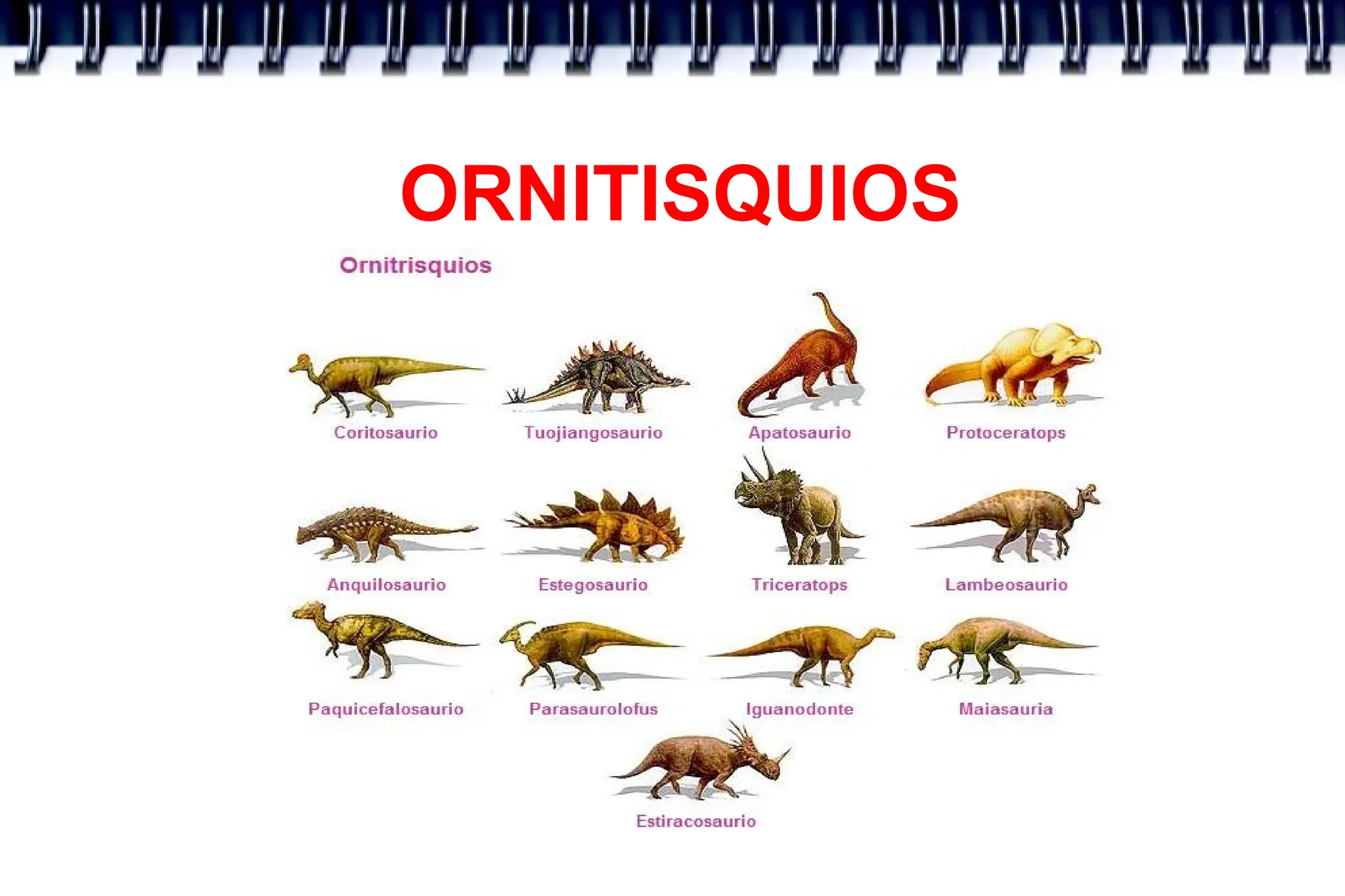 ORNITISQUIOS
 