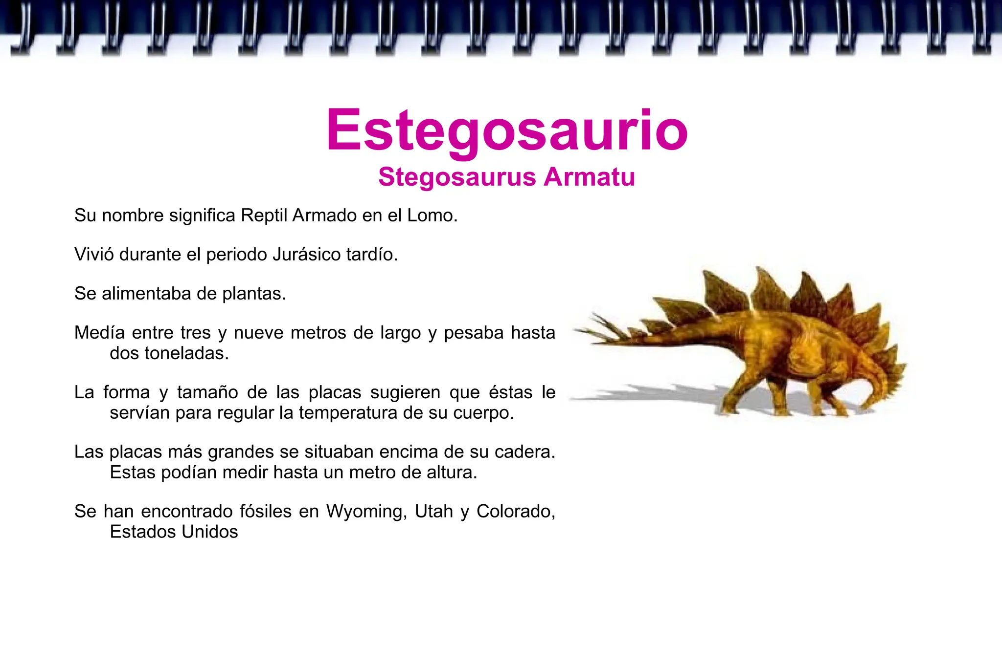 Estegosaurio
Stegosaurus Armatu
Su nombre significa Reptil Armado en el Lomo.
Vivió durante el periodo Jurásico tardío.
Se alimentaba de plantas.
Medía entre tres y nueve metros de largo y pesaba hasta
dos toneladas.
La forma y tamaño de las placas sugieren que éstas le
servían para regular la temperatura de su cuerpo.
Las placas más grandes se situaban encima de su cadera.
Estas podían medir hasta un metro de altura.
Se han encontrado fósiles en Wyoming, Utah y Colorado,
Estados Unidos
 