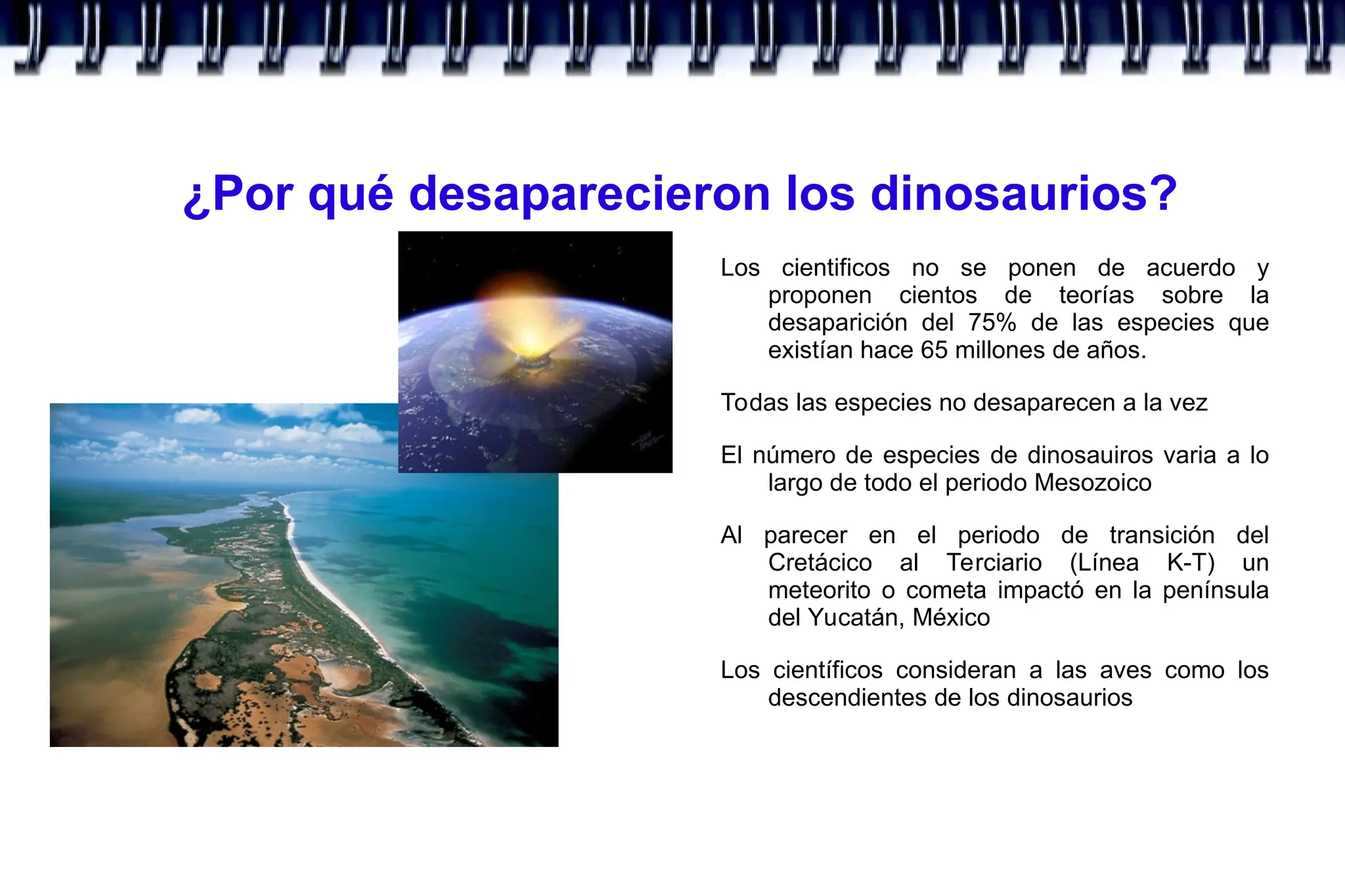 ¿Por qué desaparecieron los dinosaurios?
Los cientificos no se ponen de acuerdo y
proponen cientos de teorías sobre la
desaparición del 75% de las especies que
existían hace 65 millones de años.
Todas las especies no desaparecen a la vez
El número de especies de dinosauiros varia a lo
largo de todo el periodo Mesozoico
Al parecer en el periodo de transición del
Cretácico al Terciario (Línea K-T) un
meteorito o cometa impactó en la península
del Yucatán, México
Los científicos consideran a las aves como los
descendientes de los dinosaurios
 