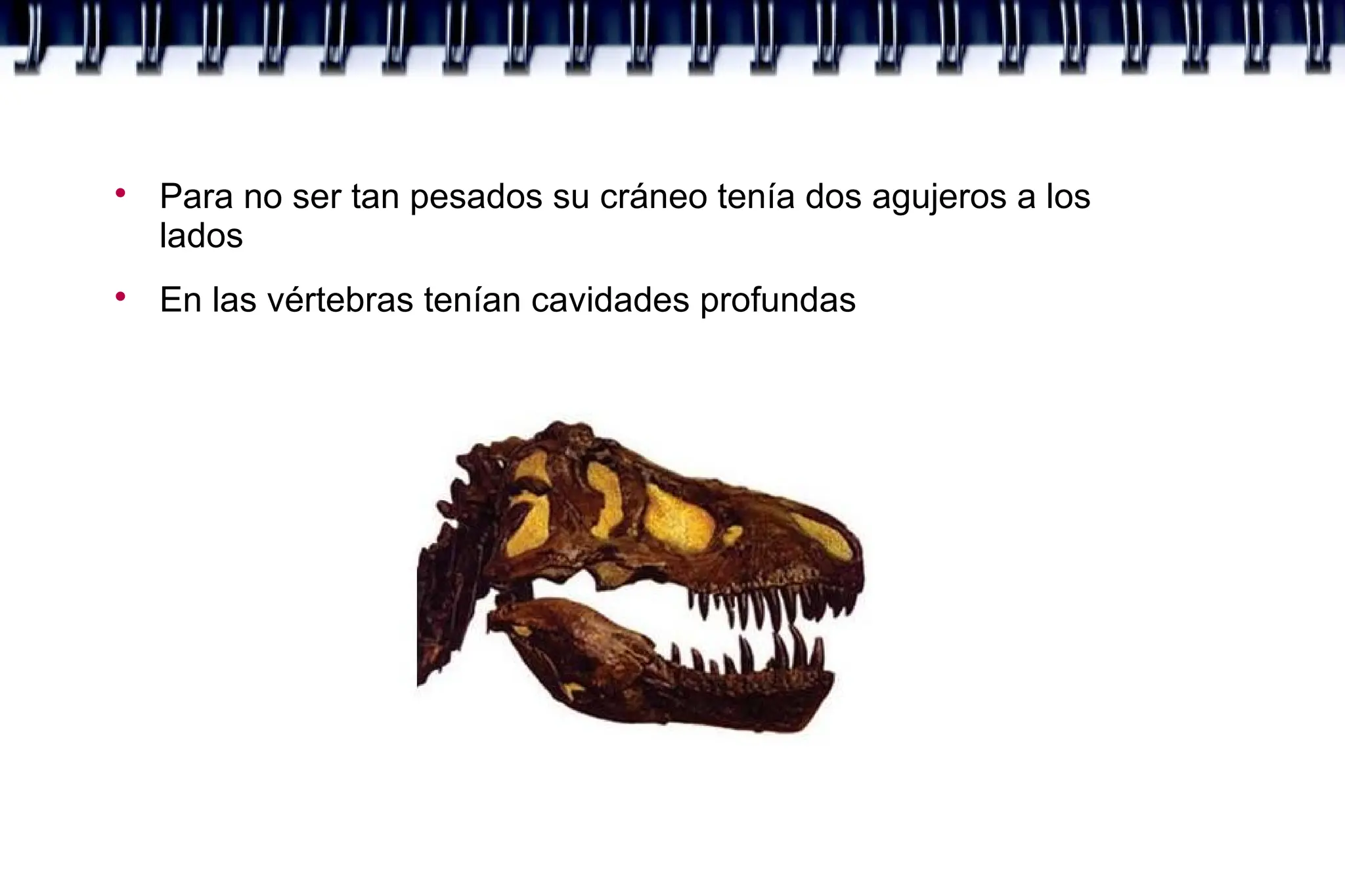 
Para no ser tan pesados su cráneo tenía dos agujeros a los
lados

En las vértebras tenían cavidades profundas
 