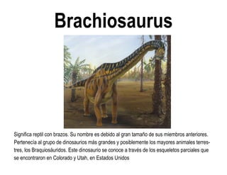 Brachiosaurus 
Significa reptil con brazos. Su nombre es debido al gran tamaño de sus miembros anteriores. Pertenecía al grupo de dinosaurios más grandes y posiblemente los mayores animales terres- tres, los Braquiosáuridos. Este dinosaurio se conoce a través de los esqueletos parciales que se encontraron en Colorado y Utah, en Estados Unidos  