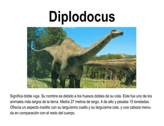Diplodocus 
Significa doble viga. Su nombre es debido a los huesos dobles de su cola. Este fue uno de los animales más largos de la tierra. Medía 27 metros de largo, 4 de alto y pesaba 15 toneladas. Ofrecía un aspecto insólito con su larguísimo cuello y su larguísima cola, y una cabeza menu- da en comparación con el resto del cuerpo.  