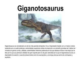 Giganotosaurus 
Giganotosaurus es considerado uno de los más grandes terópodos. Era un depredador bípedo con un masivo cráneo sostenido por un cuello poderoso, extremidades superiores cortas en proporción a su tamaño provistas de 3 dedos ter- minados en garras curvas y afiladas, extremidades inferiores poderosas en las que destaca el fémur mas largo que la tibia por lo que sus piernas lo dotaban de gran soporte pero no de gran velocidad por lo que el Giganotosaurus era un depredador de asecho o caza de presas lentas como los sauropodos y una larga cola que servía de contrapeso y equilibrio.  