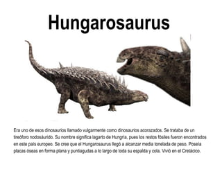 Hungarosaurus 
Era uno de esos dinosaurios llamado vulgarmente como dinosaurios acorazados. Se trataba de un tireóforo nodosáurido. Su nombre significa lagarto de Hungría, pues los restos fósiles fueron encontrados en este país europeo. Se cree que el Hungarosaurus llegó a alcanzar media tonelada de peso. Poseía placas óseas en forma plana y puntiagudas a lo largo de toda su espalda y cola. Vivió en el Cretácico.  