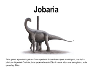 Jobaria 
Es un género representado por una única especie de dinosaurio saurópodo eusaurópodo, que vivió a principios del período Cretácico, hace aproximadamente 134 millones de años, en el Valanginiano, en lo que es hoy África.  