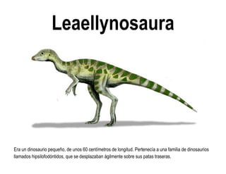 Leaellynosaura 
Era un dinosaurio pequeño, de unos 60 centímetros de longitud. Pertenecía a una familia de dinosaurios llamados hipsilofodóntidos, que se desplazaban ágilmente sobre sus patas traseras.  