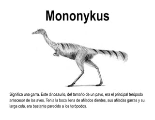 Mononykus 
Significa una garra. Este dinosaurio, del tamaño de un pavo, era el principal terópodo antecesor de las aves. Tenía la boca llena de afilados dientes, sus afiladas garras y su larga cola, era bastante parecido a los terópodos.  