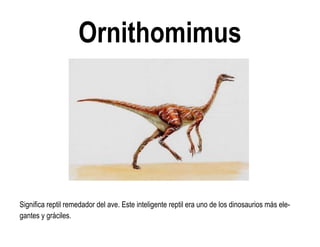 Ornithomimus 
Significa reptil remedador del ave. Este inteligente reptil era uno de los dinosaurios más ele- gantes y gráciles.  